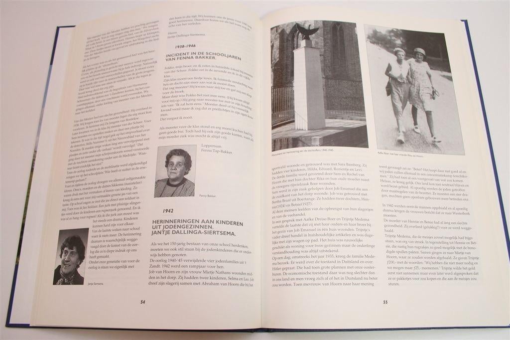 Onderwijs in 't Zandt — Lokale Historie — Veel Foto's, Boeken, Geschiedenis | Stad en Regio, Ophalen of Verzenden, Zo goed als nieuw
