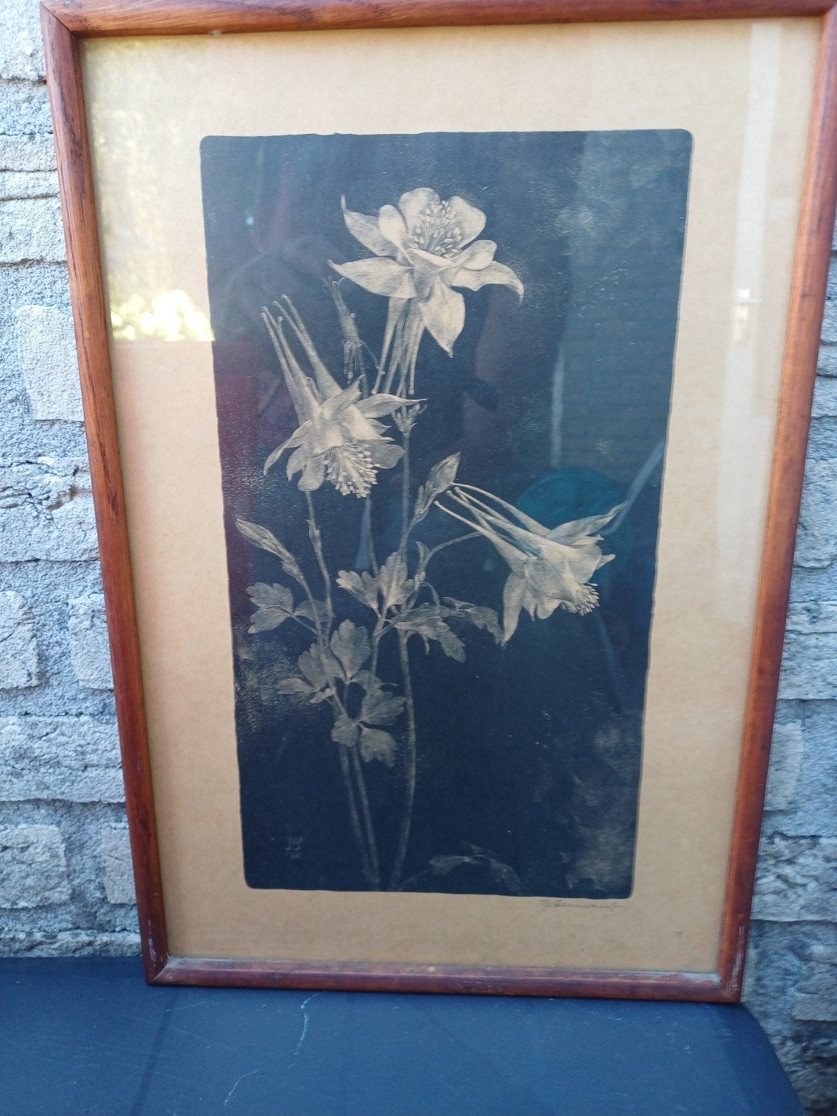 Litho Jan Voerman Jr. - Akeleien, Ingelijst, Ophalen of Verzenden, Dieren en Natuur, Lithografie
