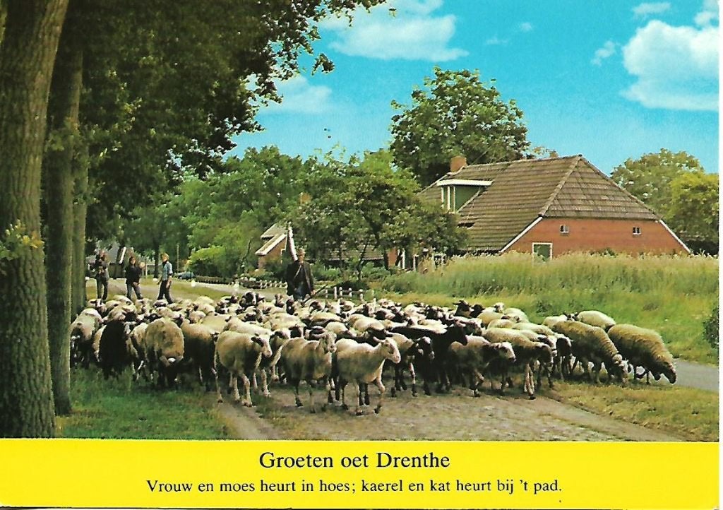 Drenthe- -Groeten oet Drenthe., Verzenden, 1980 tot heden, Gelopen, Drenthe