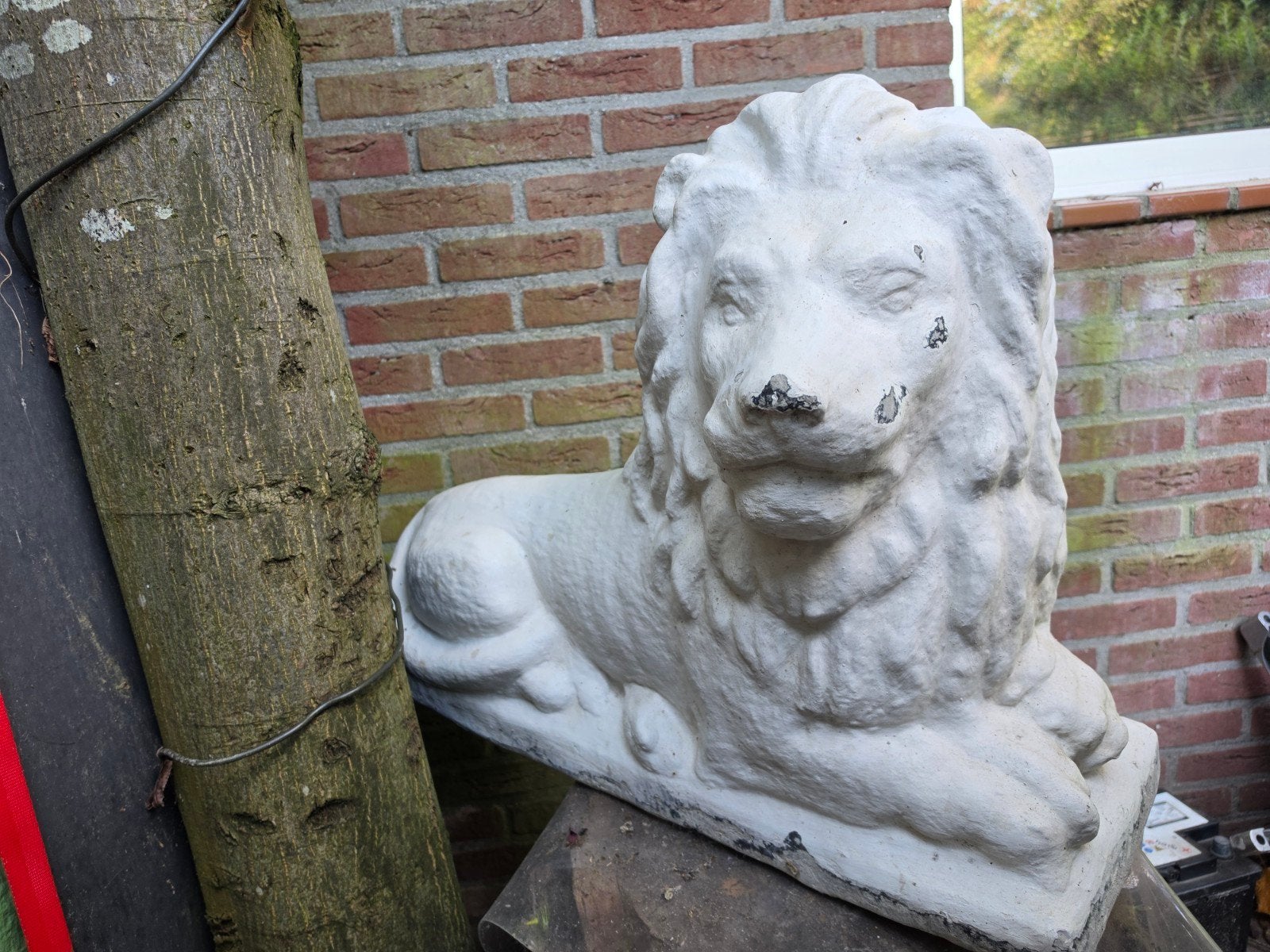 betonnen leeuw, Ophalen, Gebruikt, Beton, Dierenbeeld