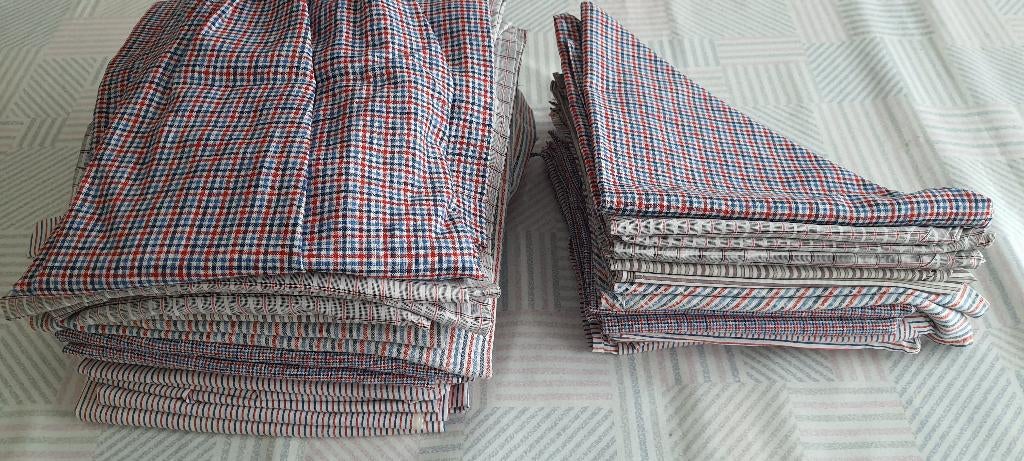 Carnaval, schort met halsdoek, Carnaval, Maat 42/44 (L), Ophalen of Verzenden, Kleding
