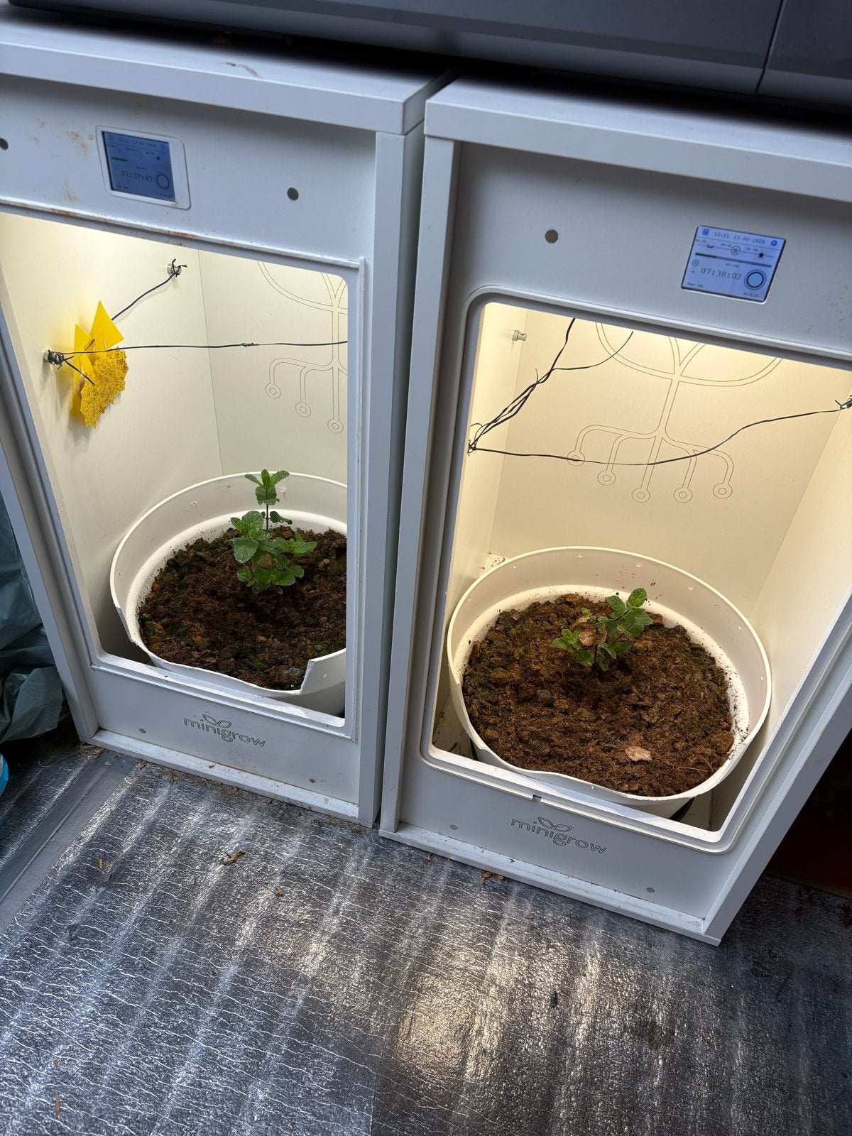 Minigrow Kweekkast - Compacte Binnenkweekoplossing, Ophalen, Gebruikt, Kweekkast