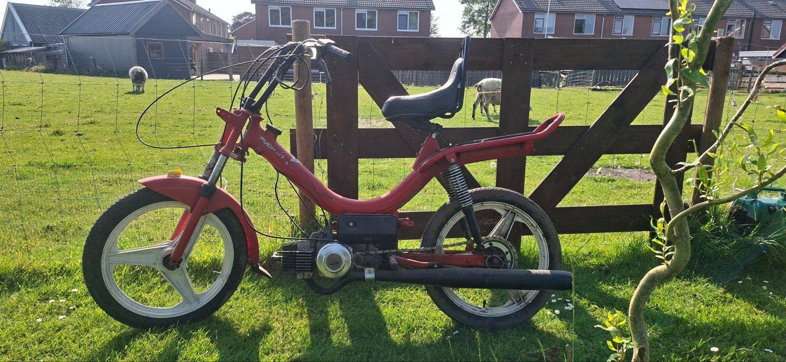 Puch z-one crossbrommer 65polini, Fietsen en Brommers, Ophalen, Overige modellen