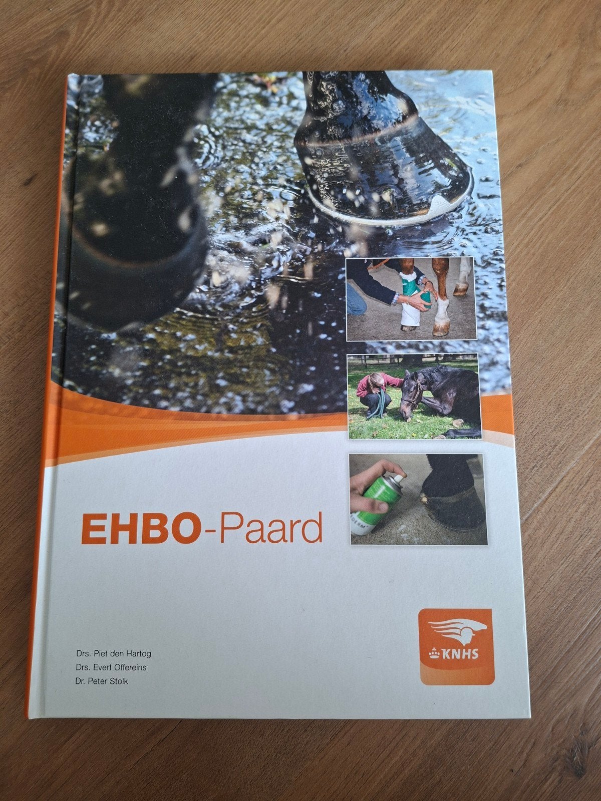 Piet den Hartog - EHBO-Paard, Boeken, Ophalen of Verzenden, Beta, Zo goed als nieuw, Piet den Hartog; Evert Offereins; Peter Stolk