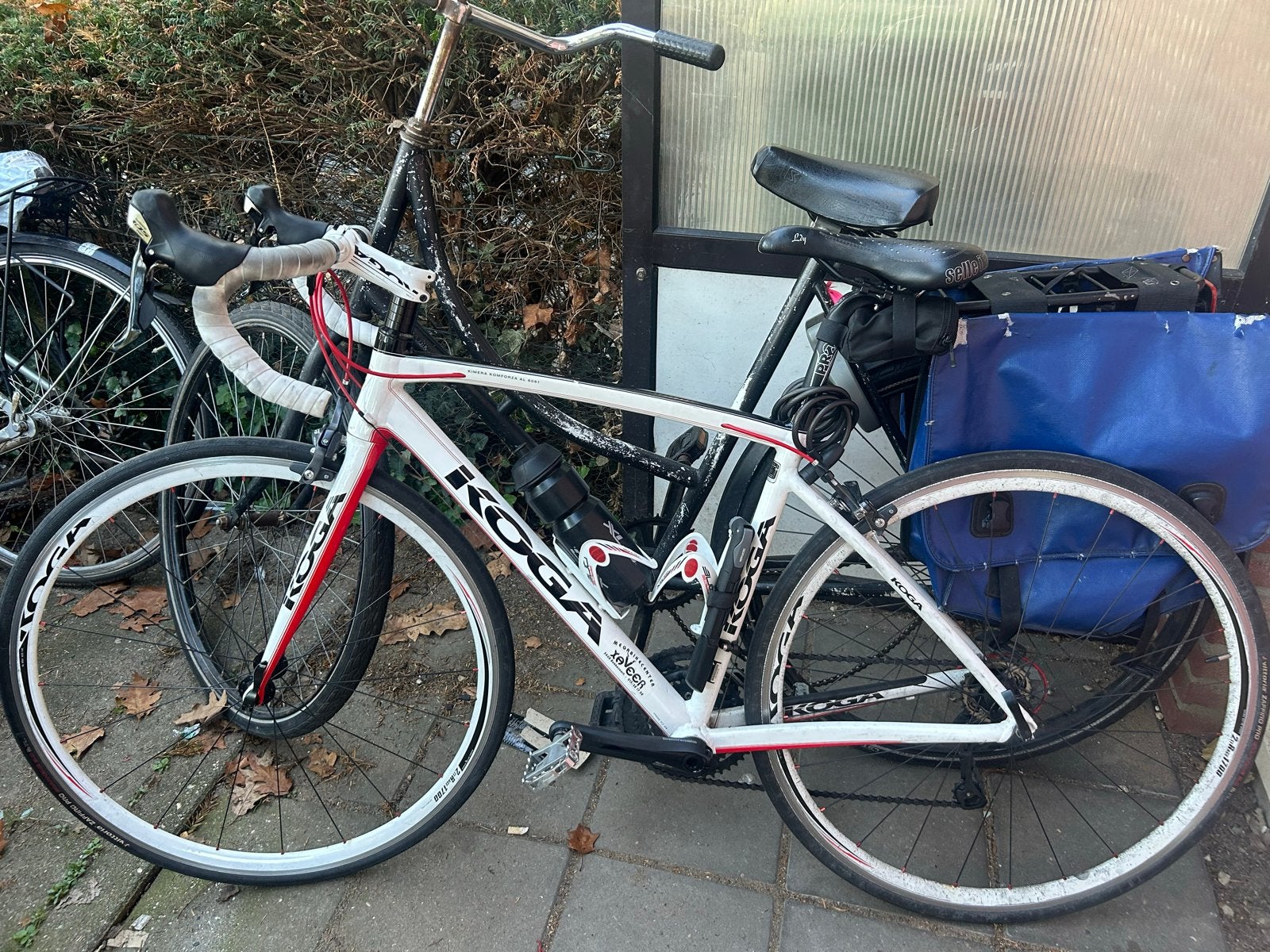 Koga Racefiets - Wit/Rood - Shimano 105, Ophalen, 28 inch, Gebruikt, Velgrem