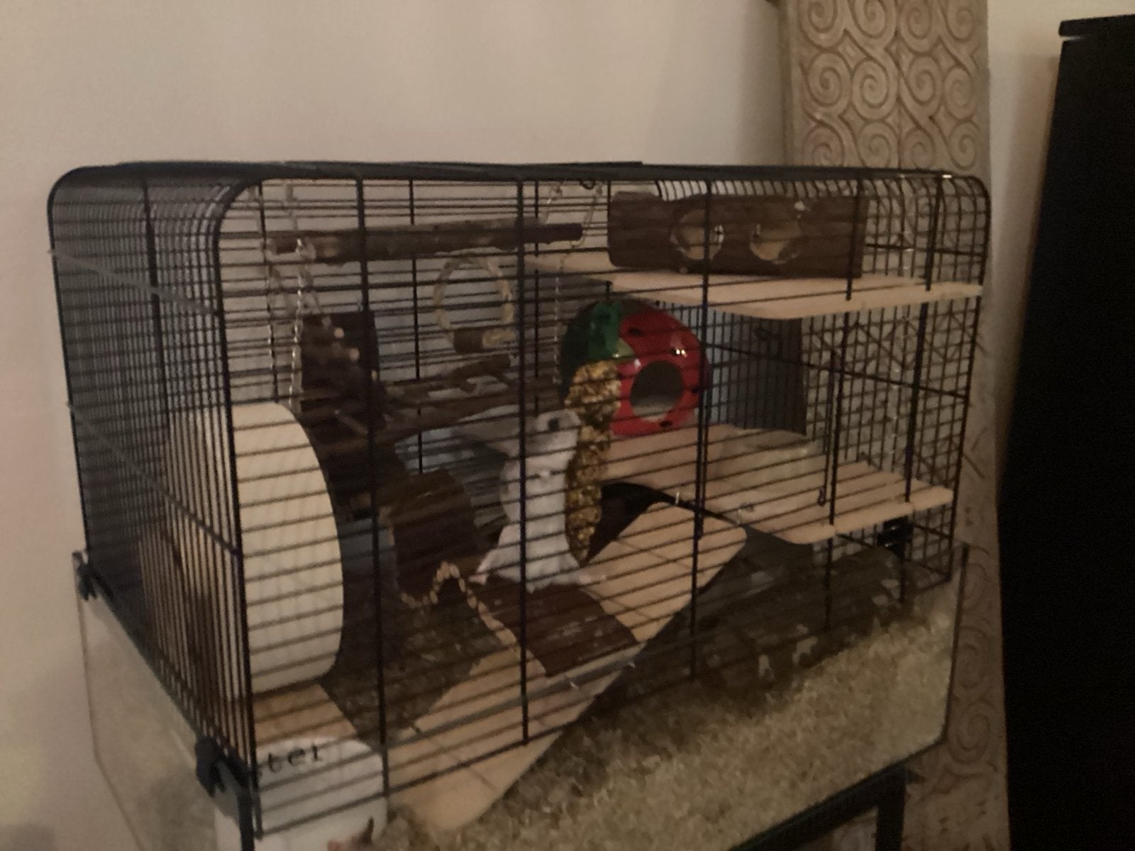 Mooie hamsterkooi, Ophalen