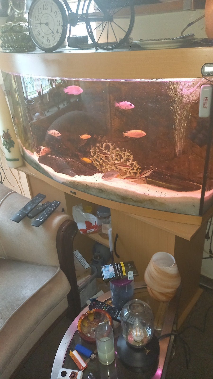 Te koop Aquarium compleet 120cm met kast en pomp, Dieren en Toebehoren, Vissen | Aquaria en Toebehoren, Ophalen of Verzenden, Zo goed als nieuw