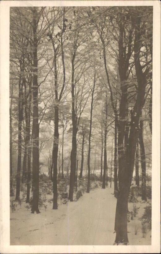Hengelo, Ophalen of Verzenden, Voor 1920, Gelopen, Overijssel