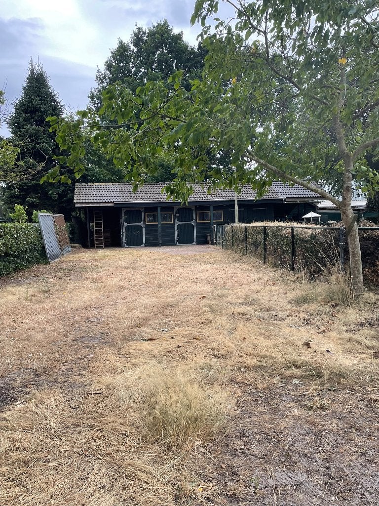 weide met stal te huur, Weidegang