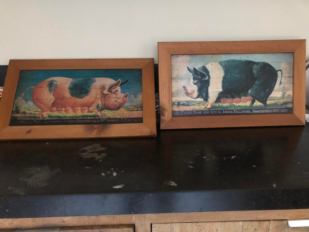 2 leuke schilderijen varkens, Ophalen, Zo goed als nieuw, Schilderij, Minder dan 50 cm
