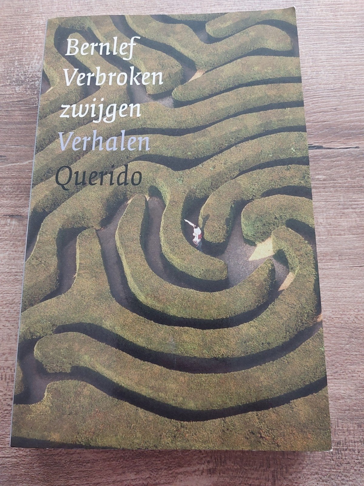 Bernlef - Verbroken zwijgen Verhalen, Boeken, Ophalen of Verzenden, Zo goed als nieuw, Bernlef, Nederland