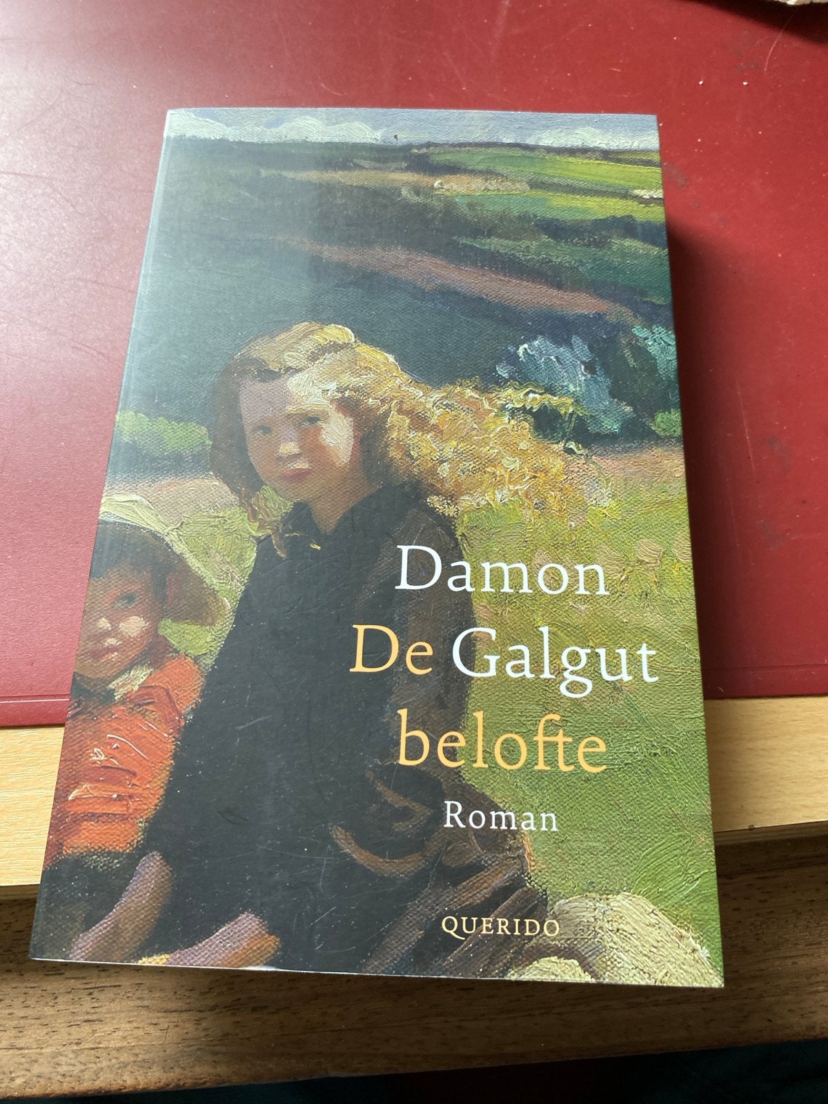 De belofte - Damon Galgut (Roman), Ophalen of Verzenden, Gelezen, Wereld overig