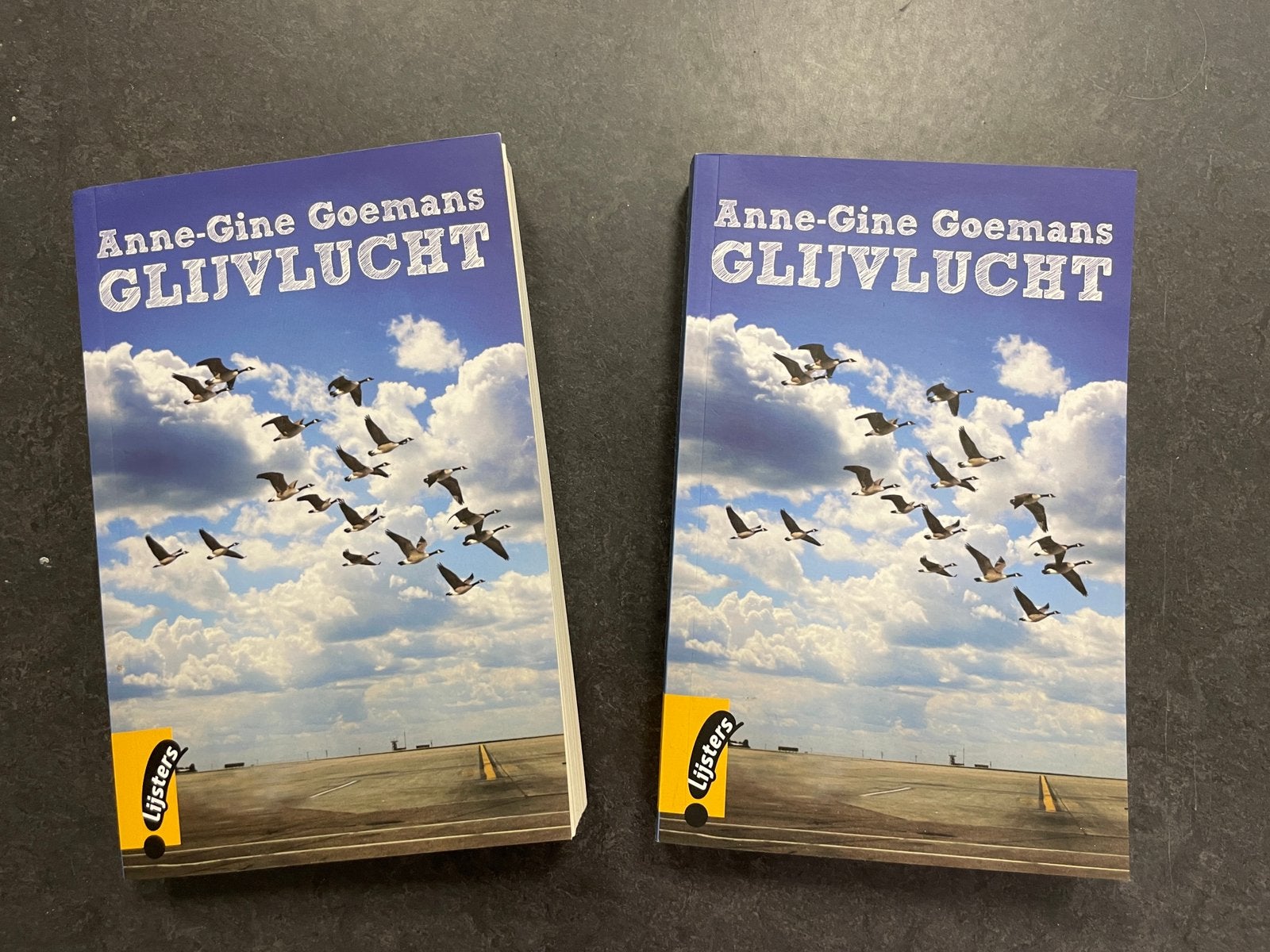 Glijvlucht van Anne-Gine Goemans, Ophalen of Verzenden, Zo goed als nieuw, Nederland