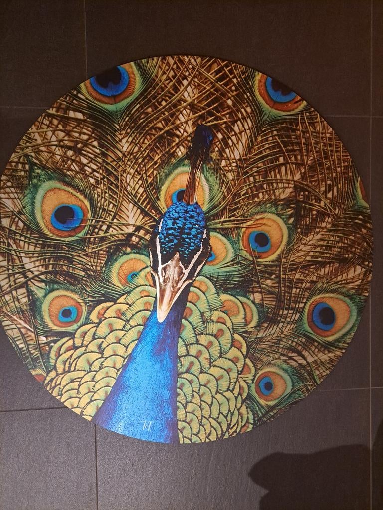 Wandcirkel Pauw - Aluminium - Ø80cm - Merk Tof, Ophalen, Metaal, Meerkleurig, Nieuw