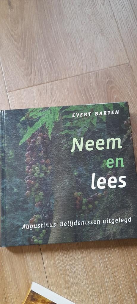 Neem en Lees: Augustinus' Belijdenissen uitgelegd, Boeken, Ophalen of Verzenden, Zo goed als nieuw, Evert Barten, Christendom | Katholiek