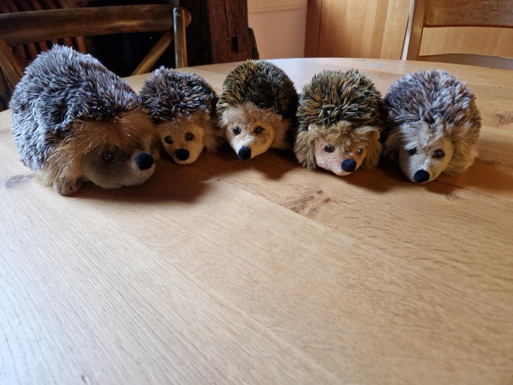 PLUCHE EGEL 🦔🦔🦔 FAMILIE, Ophalen of Verzenden, Nieuw, Overige typen