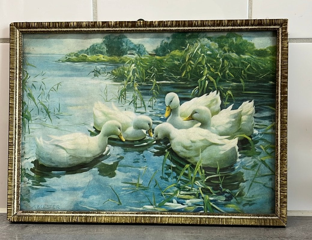 Vintage Schilderij Eenden aan de Waterkant - A. Koester, Ophalen of Verzenden