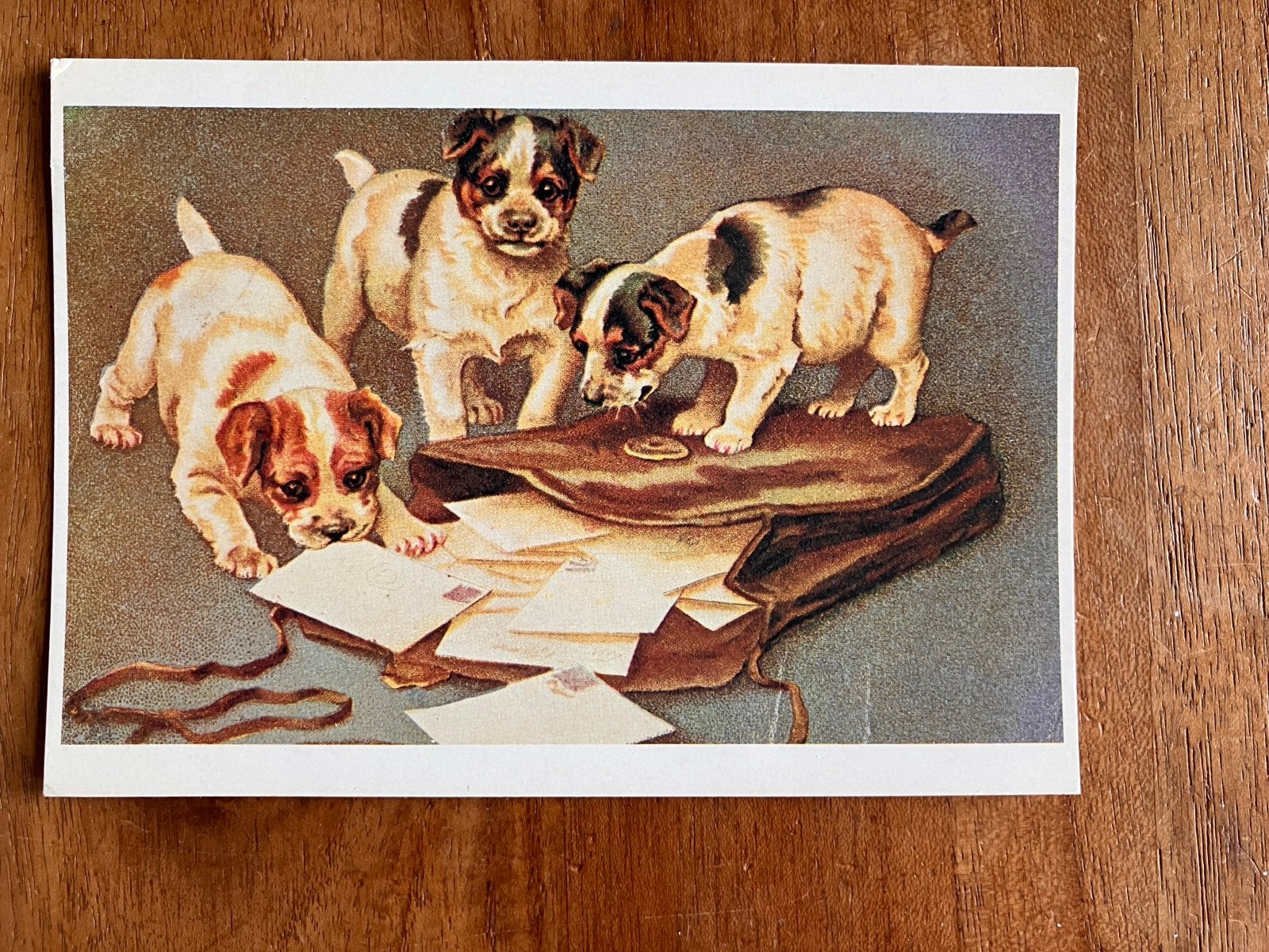 Schattige puppy's met posttas, Ophalen of Verzenden, 1980 tot heden, Gelopen, Hond of Kat