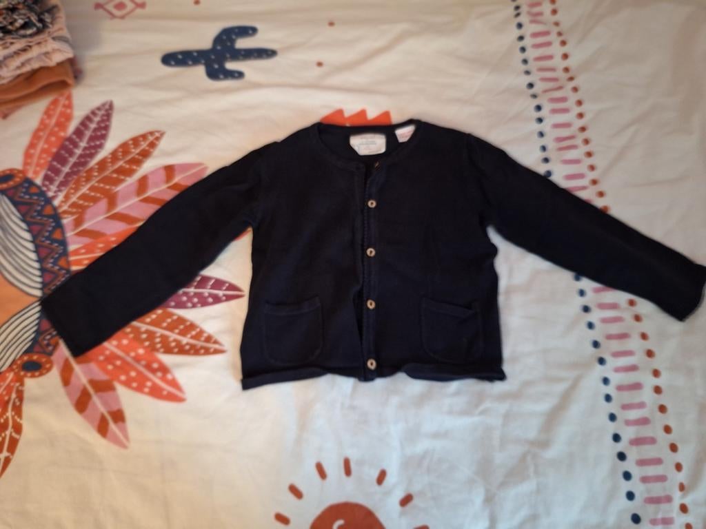 Vestje Zara 12-18 M maat 74-80 M, Kinderen en Baby's, Babykleding | Maat 80, Ophalen of Verzenden, Zo goed als nieuw, Meisje, Truitje of Vestje