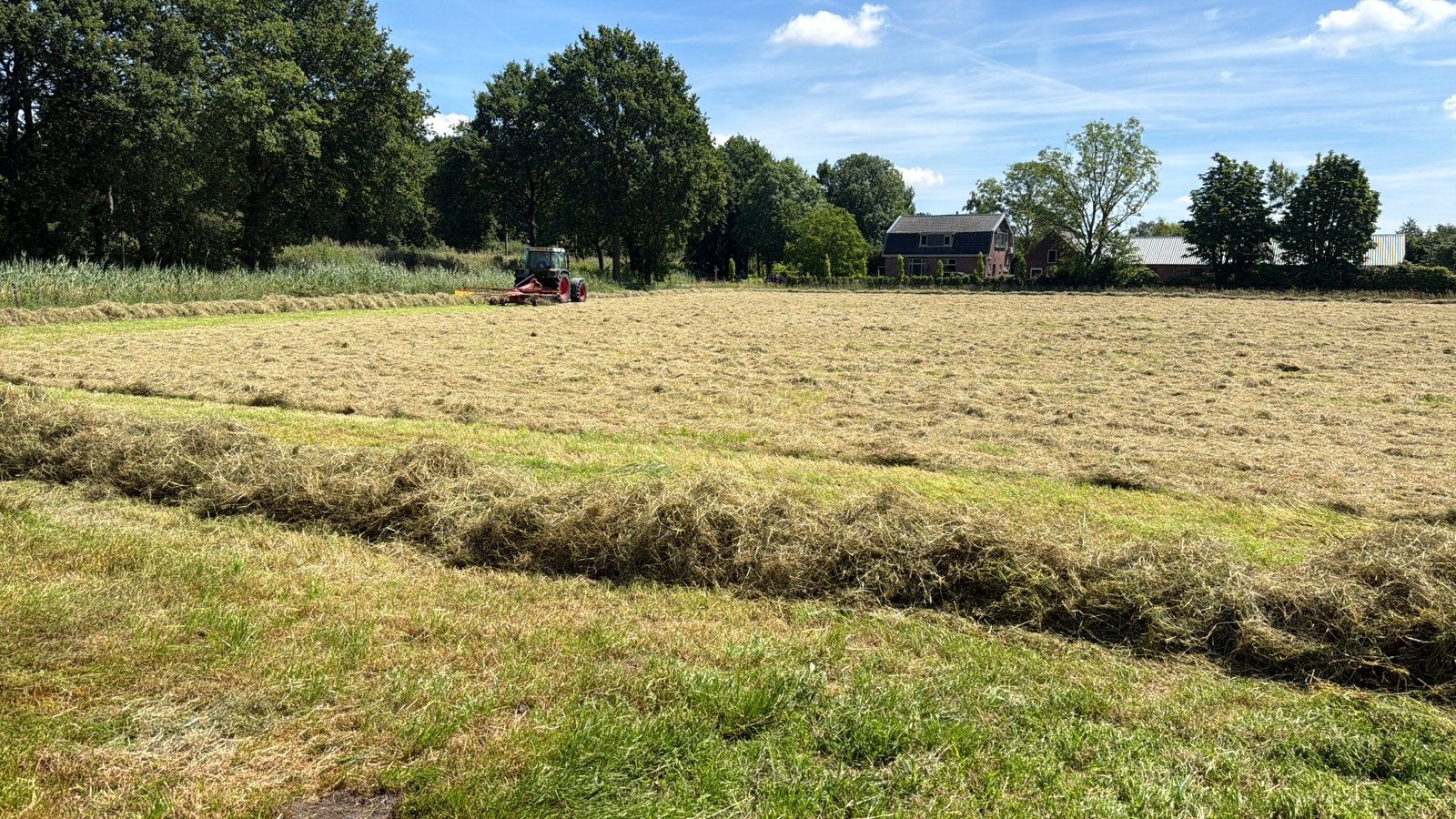 Hooi/voordroog grote ronde balen. (2024), Ophalen, Vee