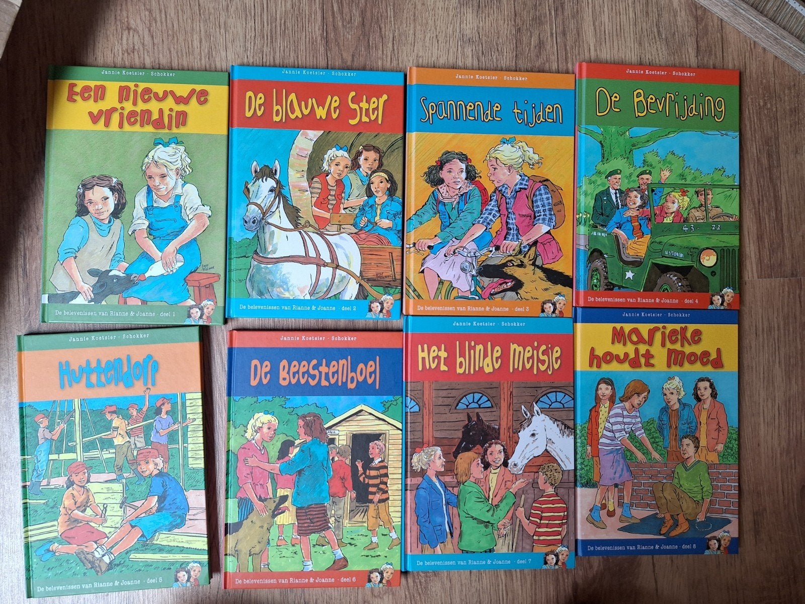 De Belevenissen van Rianne & Joanne - 8 boeken, Ophalen of Verzenden, Gelezen, Jannie Koetsier-Schokker, Fictie algemeen
