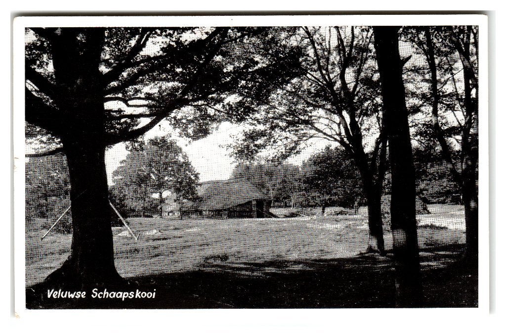 Veluwe, Veluwse Schaapskooi, Verzenden, 1940 tot 1960, Gelopen, Gelderland