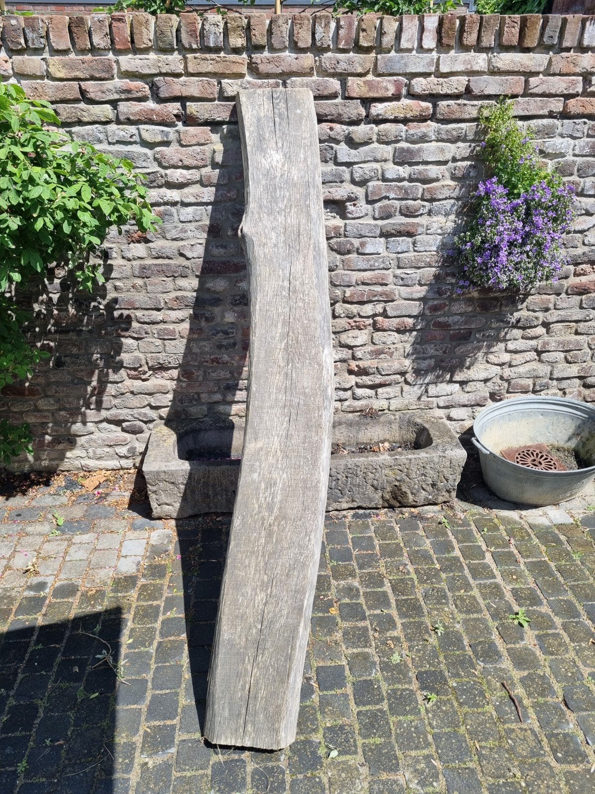 Boomstamplank schaaldeel, Ophalen, Minder dan 25 mm, Plank, Minder dan 200 cm