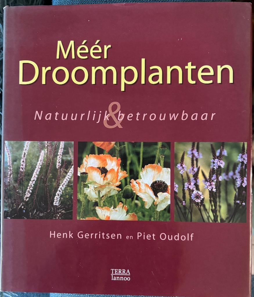 MEER DROOMPLANTEN PIET OUDOLF EN HENK GERRITSEN., Ophalen of Verzenden, Zo goed als nieuw, Tuinieren en Tuinplanten