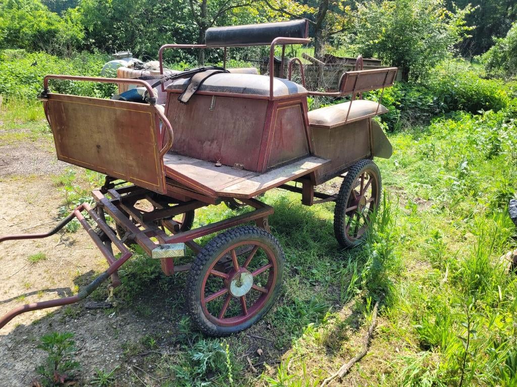 Koets, Gebruikt, Overige typen, Paard of Pony
