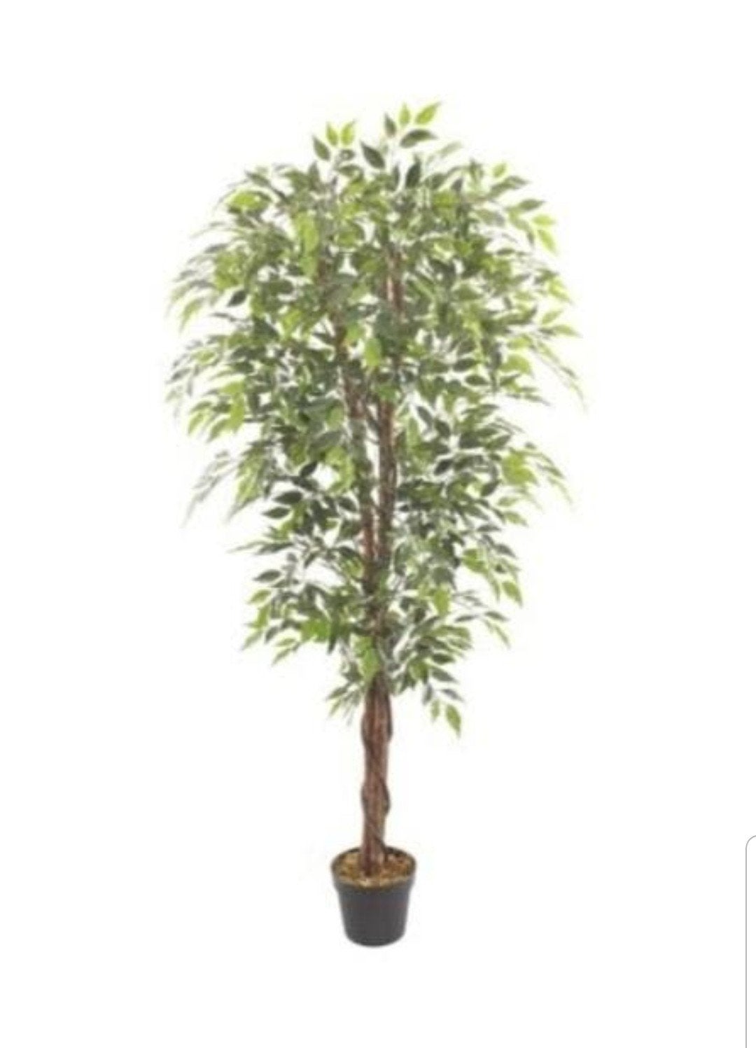 kunstplant fica ficus 180 cm, Ophalen of Verzenden, Nieuw