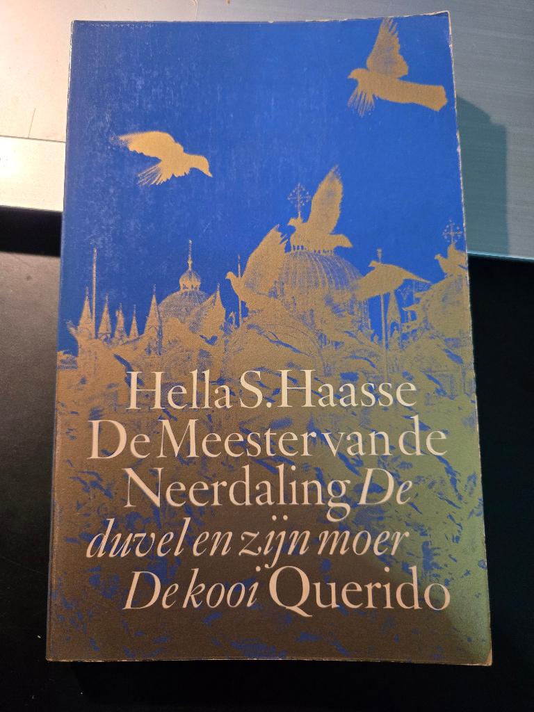 Boek: De Meester van de Neerdaling  1973 Hella Haasse, Nederland, Hella S. Haasse, Ophalen, Gelezen
