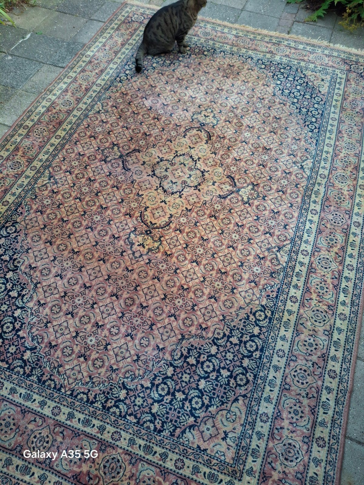 groot vloerkleed, vintage, Ophalen, Gebruikt, Turks, Perzisch, 200 cm of meer
