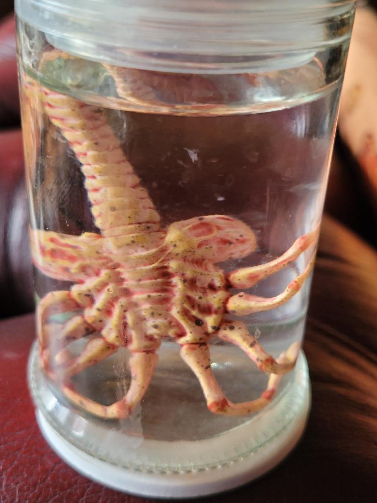 Alien Facehugger Xenomorph embryo op "sterk water"., Ophalen of Verzenden, Nieuw, Film, Beeldje, Replica of Model