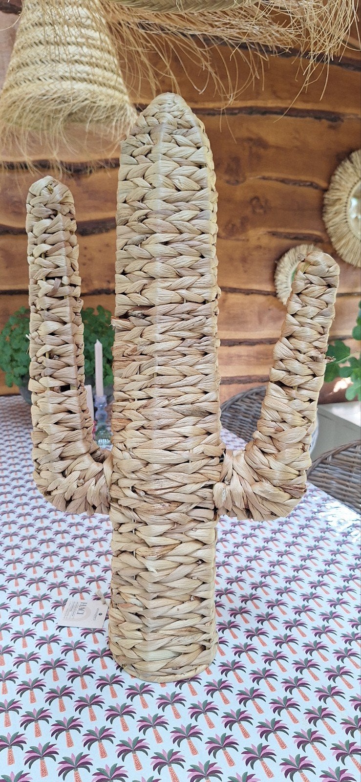 Waterhyacint cactus, Huis en Inrichting, Ophalen, Nieuw, Bruin, Natuurlijk materiaal
