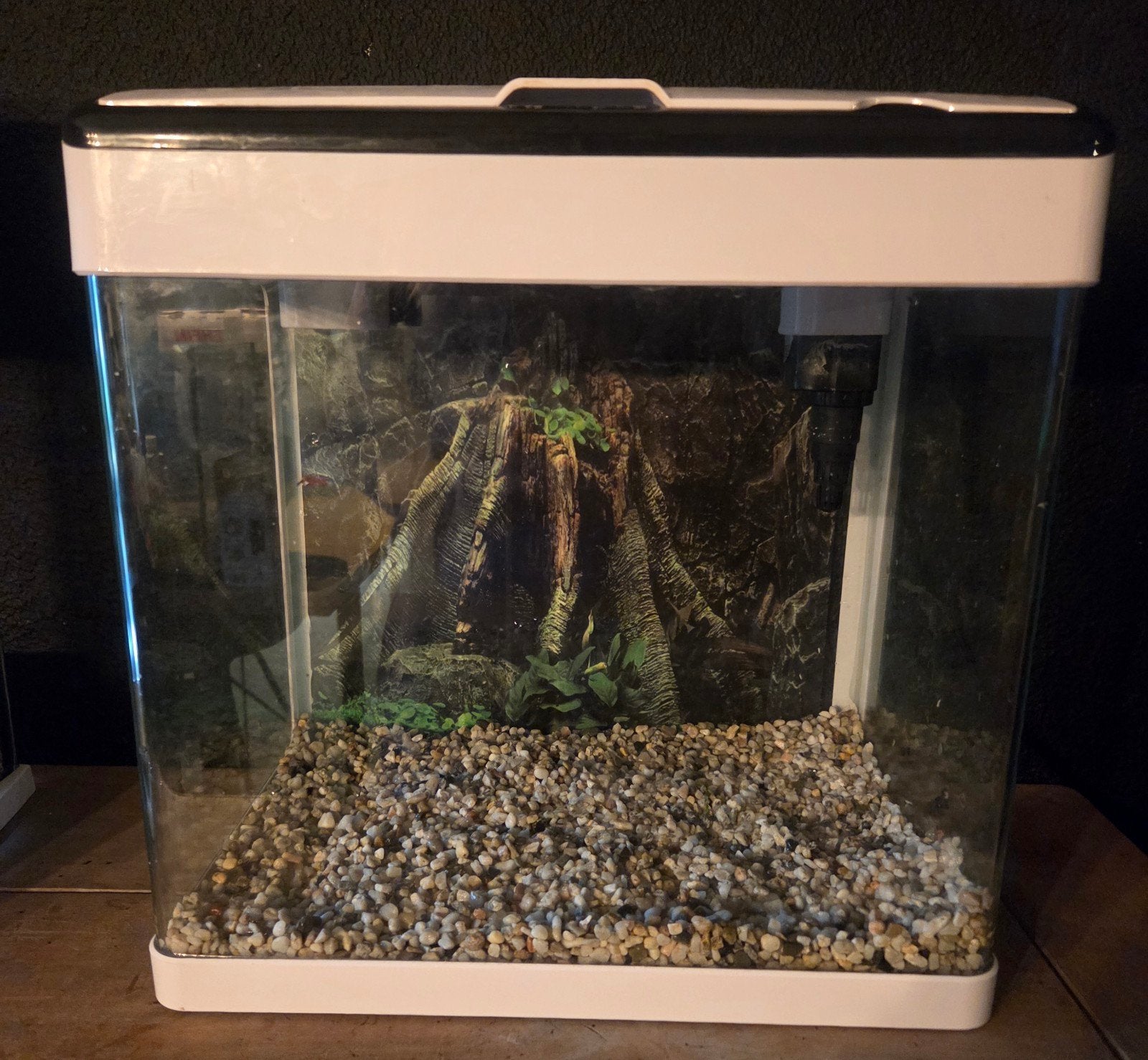 Superfish aquarium, Ophalen, Leeg aquarium