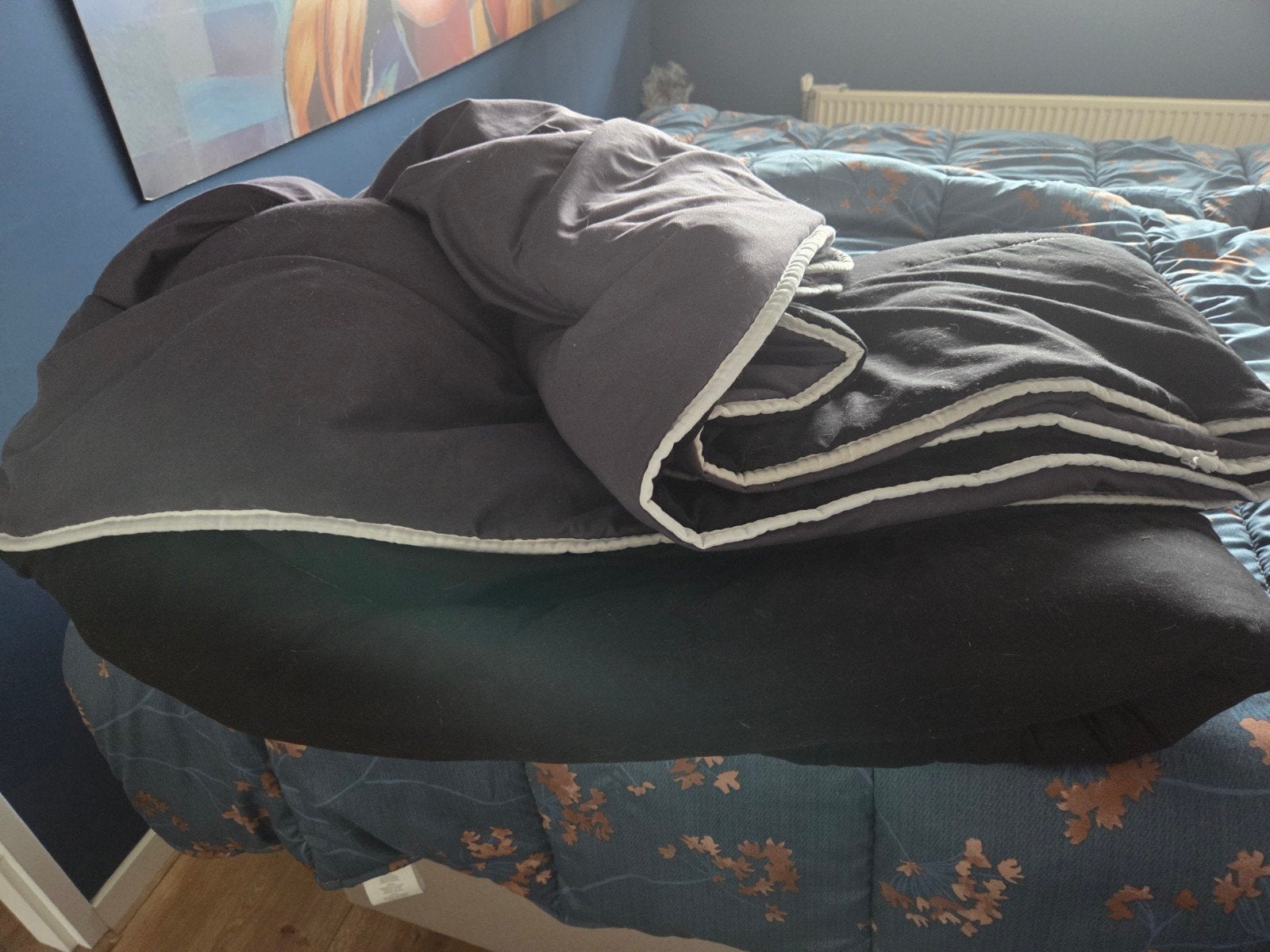Zelesta dekbed, Ophalen, Gebruikt, Tweepersoons, Deken of Dekbed