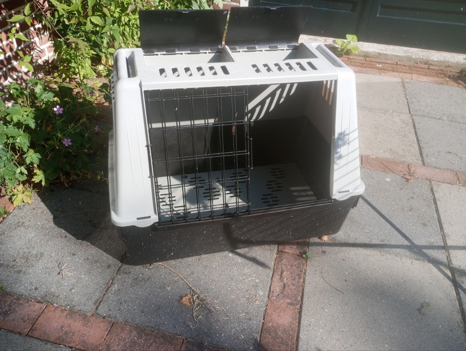 Honden bench, Dieren en Toebehoren, Ophalen of Verzenden