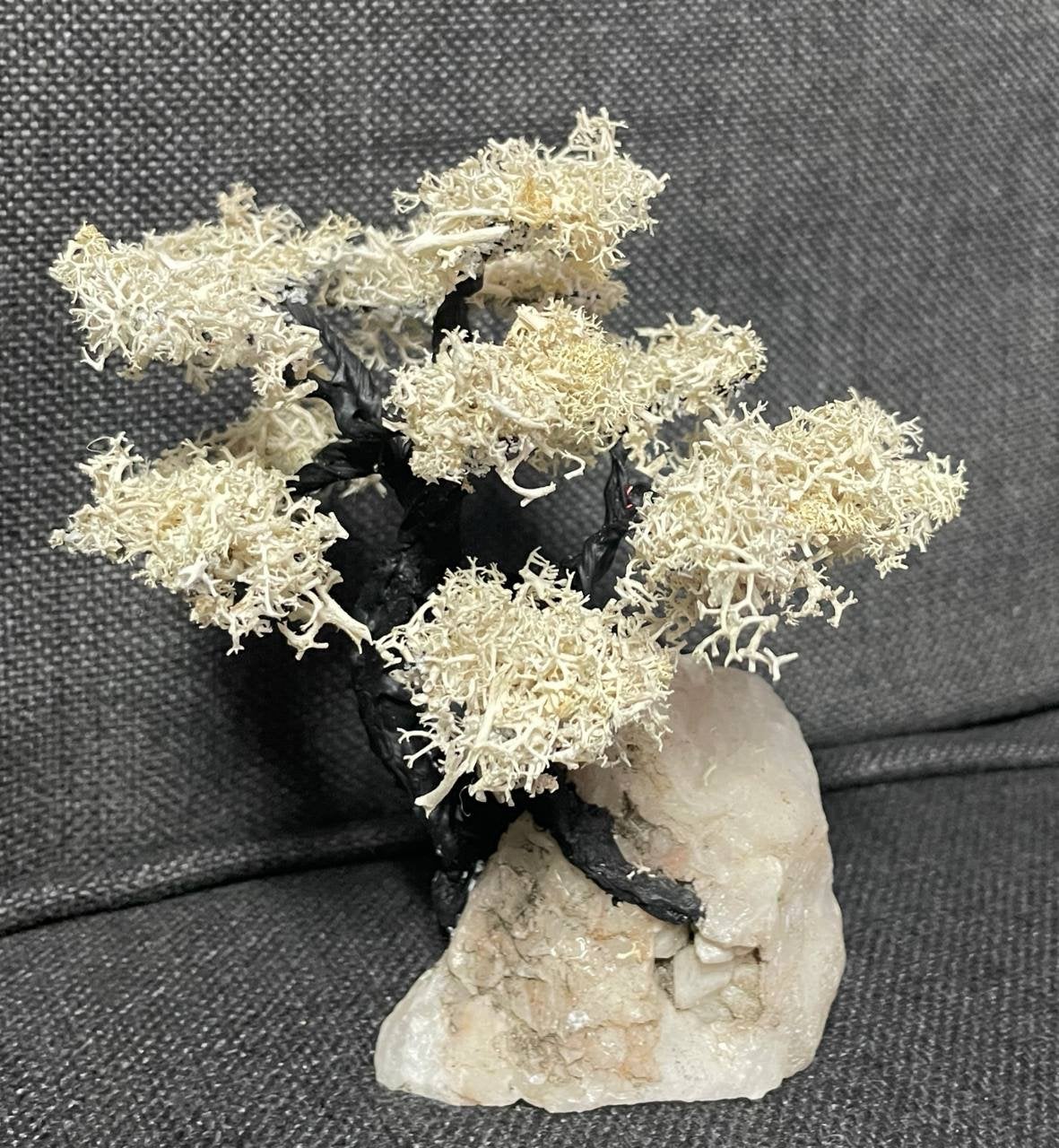 Decoratieve Bonsai met Mos en Kristallen Basis, Ophalen of Verzenden, Gebruikt, Wit, Natuurlijk materiaal