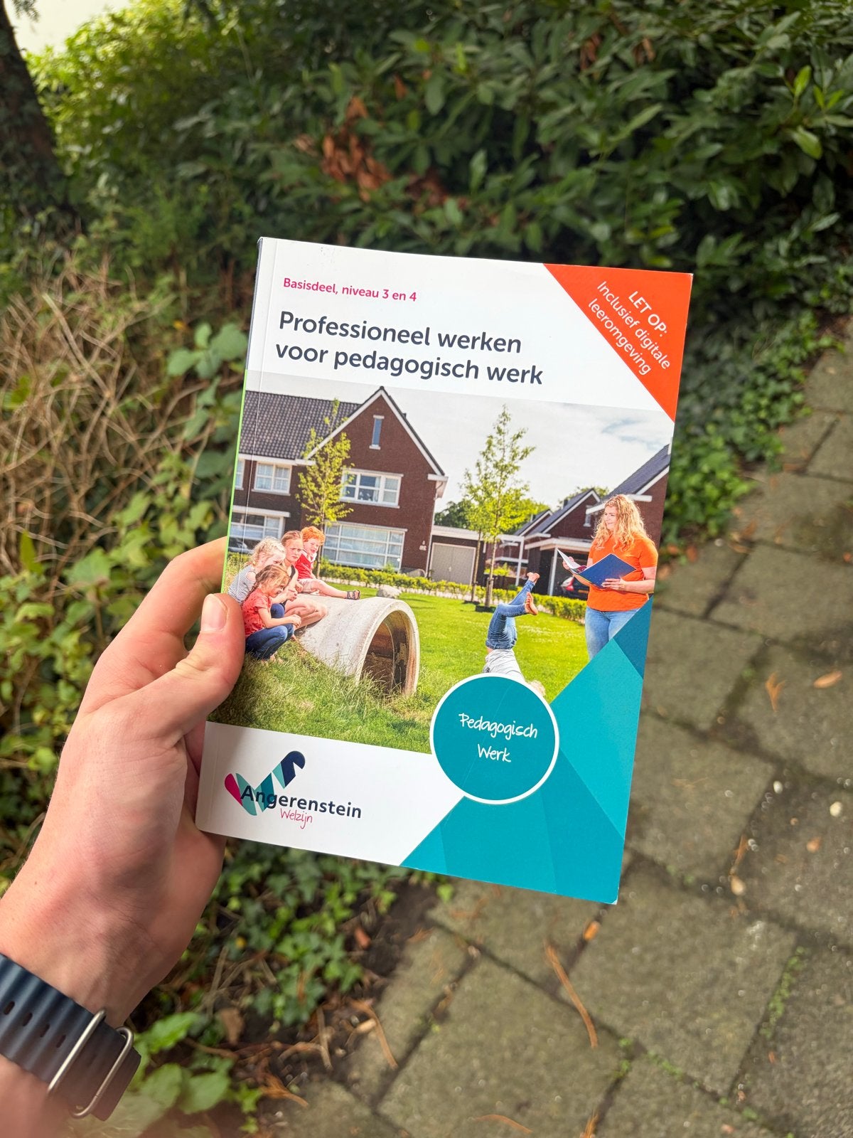 Professioneel werken voor pedagogisch werk (Niveau 3 & 4), Boeken, Ophalen of Verzenden, Zo goed als nieuw, Overige niveaus, Overige vakken