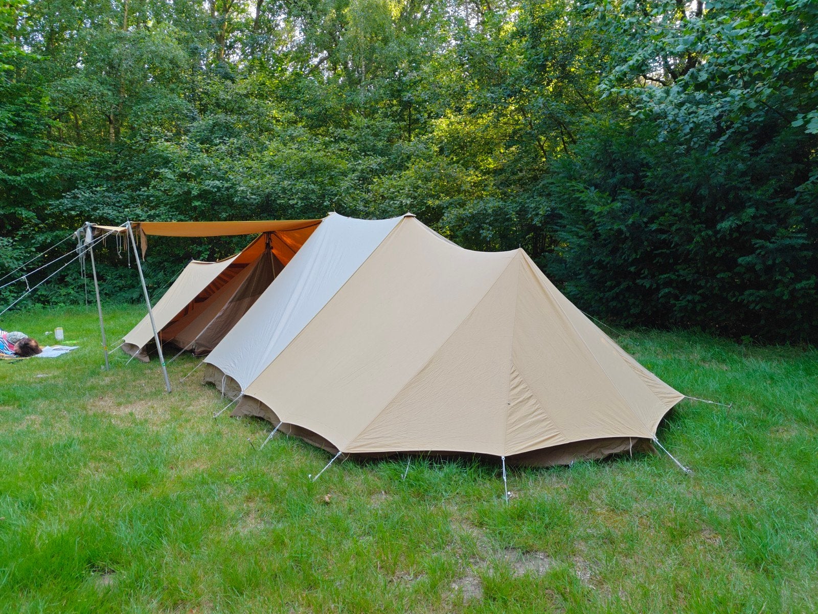 Erdman Schmidt Wesp + Wesp met schaapskooi + tussenluifels, Caravans en Kamperen, Tenten, Ophalen, Gebruikt, Tot en met 4