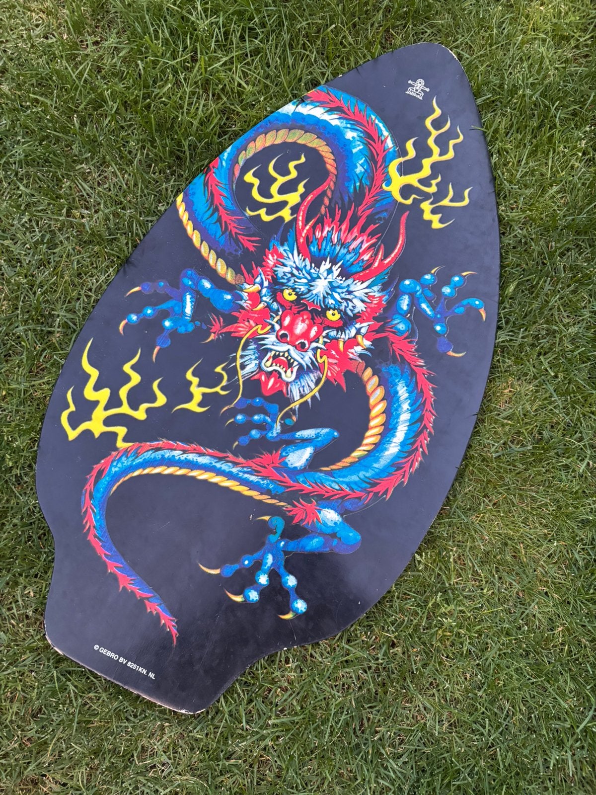 Skimboard, Ophalen, Gebruikt, Shortboard