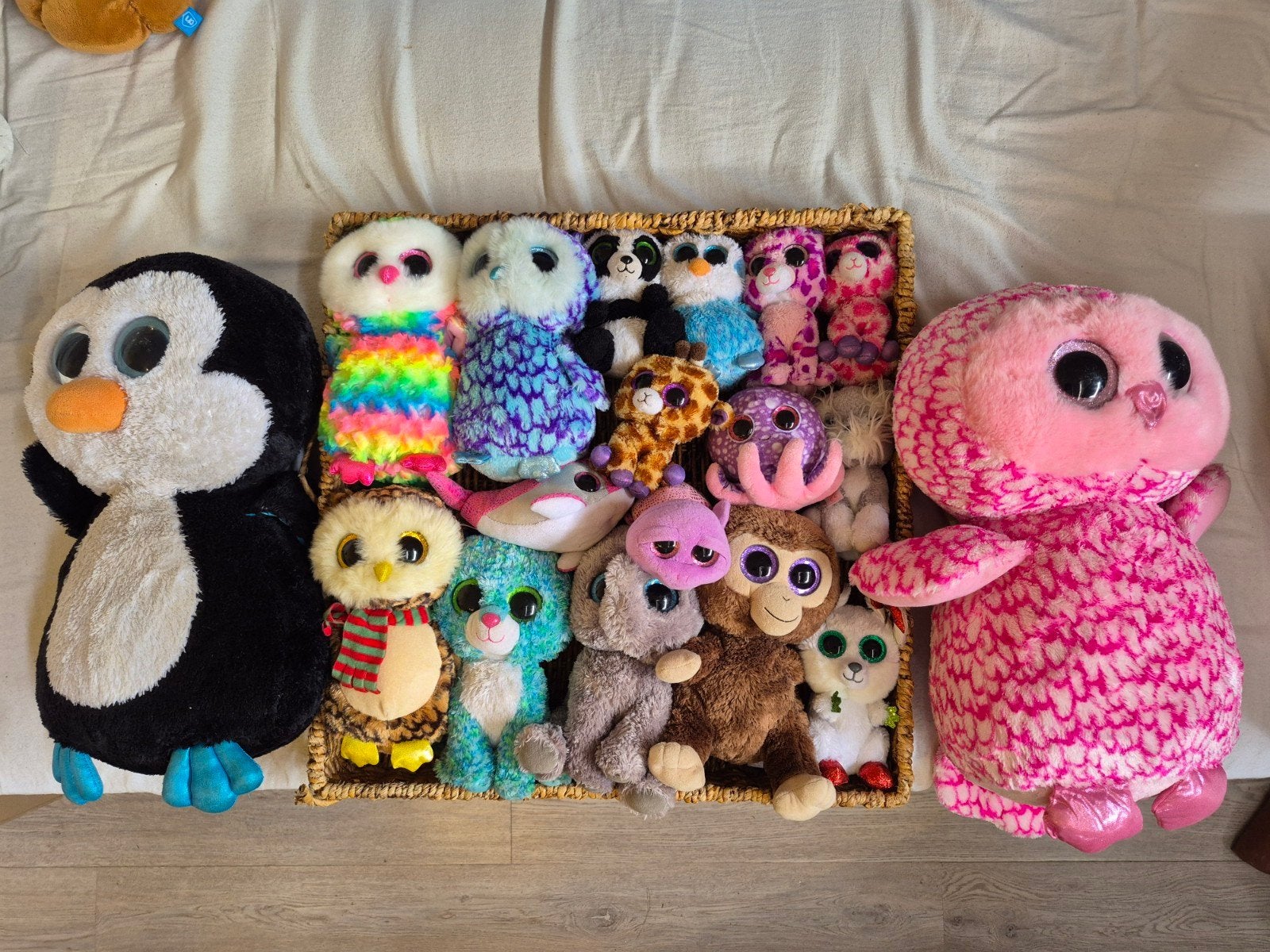 Grote collectie Ty Beanie Boos knuffels, Ophalen, Gebruikt, Overige typen, Middelgroot (20 tot 80 cm)