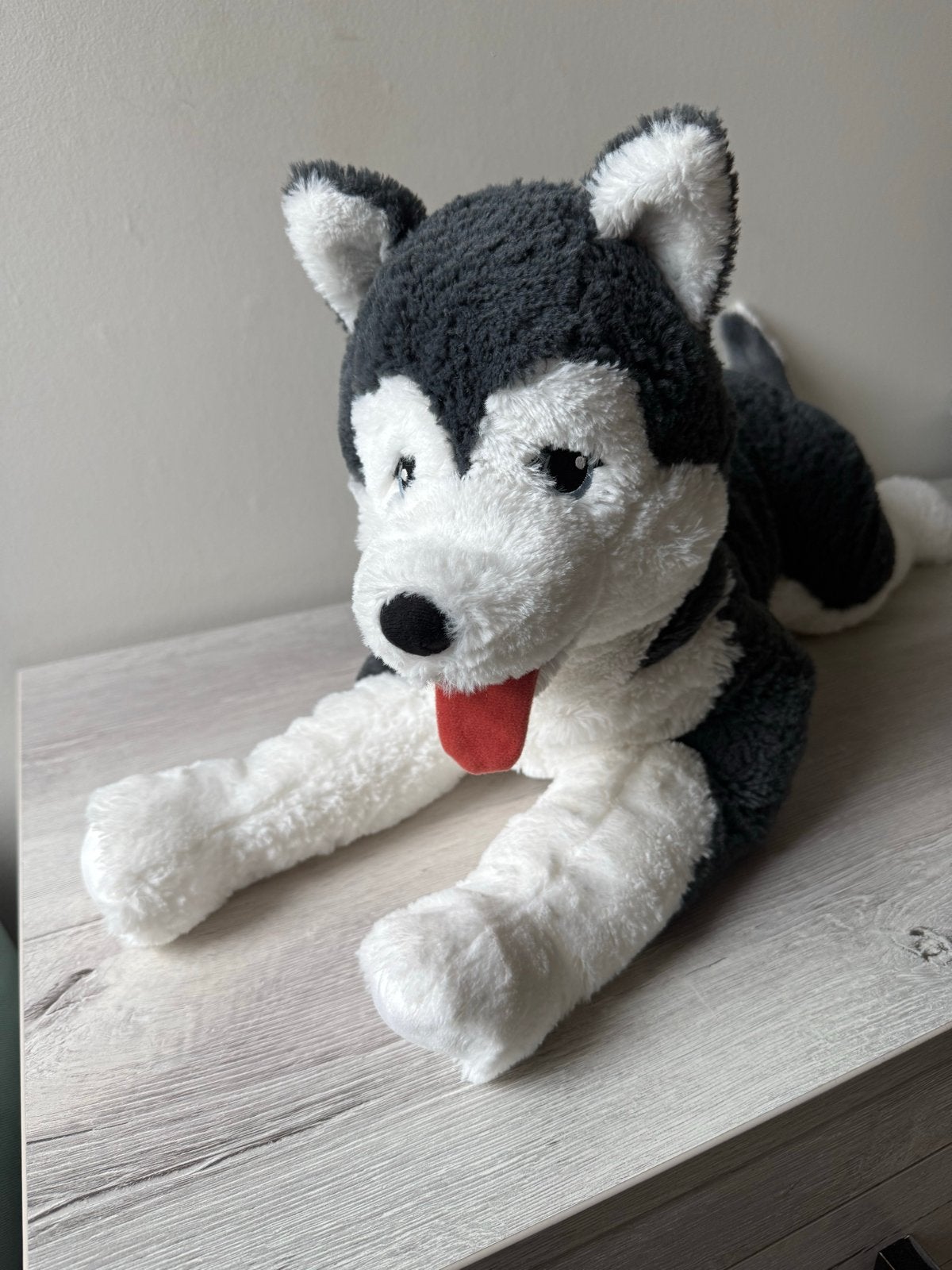 Grote Husky knuffel, Overige merken, Overige karakters, Zwart, Zo goed als nieuw