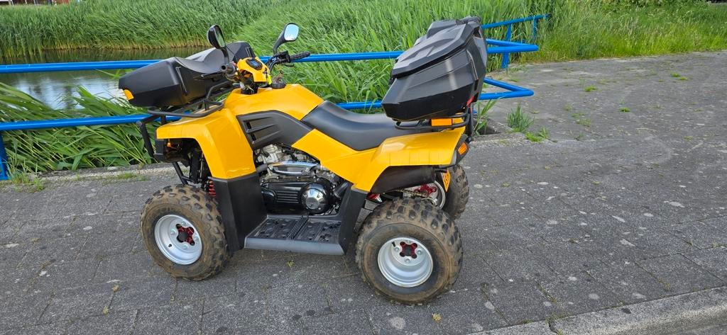 ZGAN Masai 300cc Quad – Slechts 287 km! (Kenteken ), Motoren