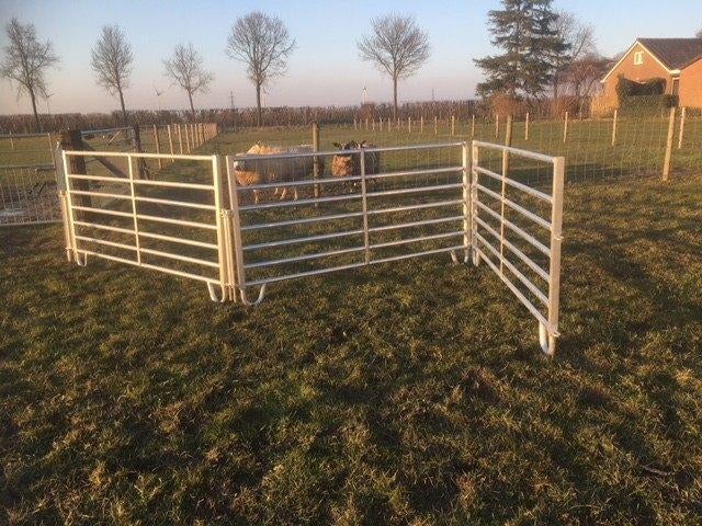 Aluminium vanghekken, Dieren en Toebehoren, Meerdere dieren, Schaap