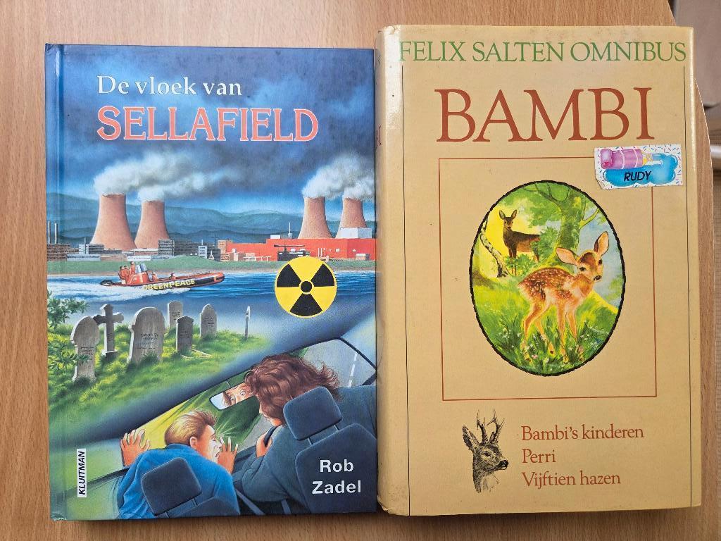Boek De vloek van Sellafield, Ophalen of Verzenden, Gelezen, Rob Zadel, Fictie