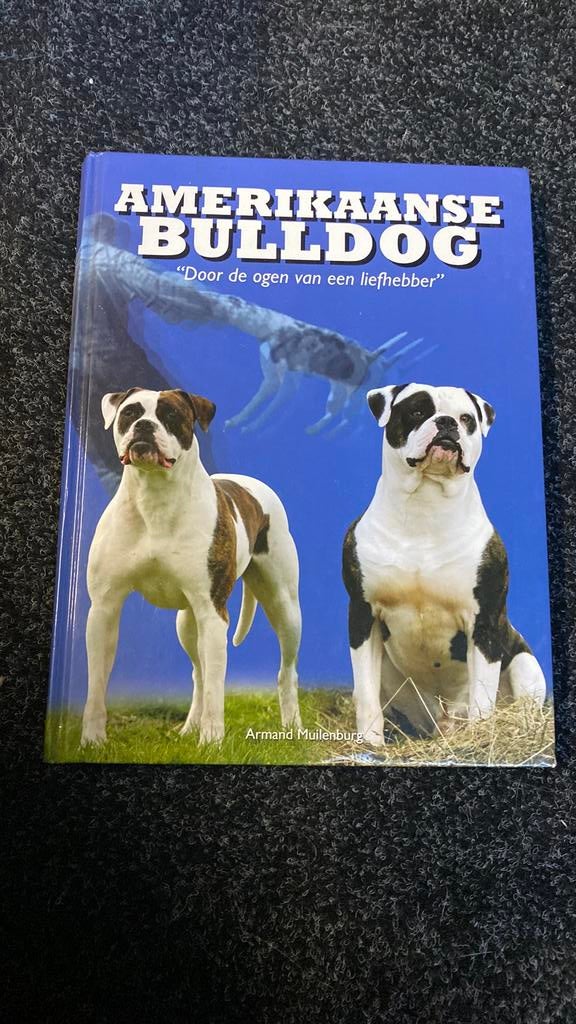 Amerikaanse bulldug, Ophalen of Verzenden, Zo goed als nieuw