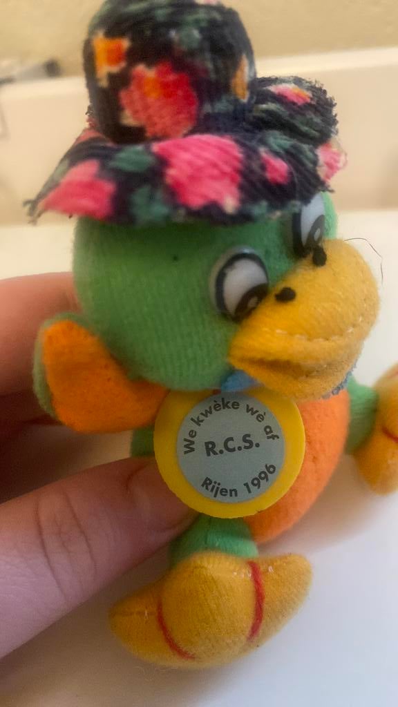 Carnaval verzamelitem 1996. R.C.S, Kleding | Heren, Carnavalskleding en Feestkleding, Ophalen of Verzenden, Zo goed als nieuw