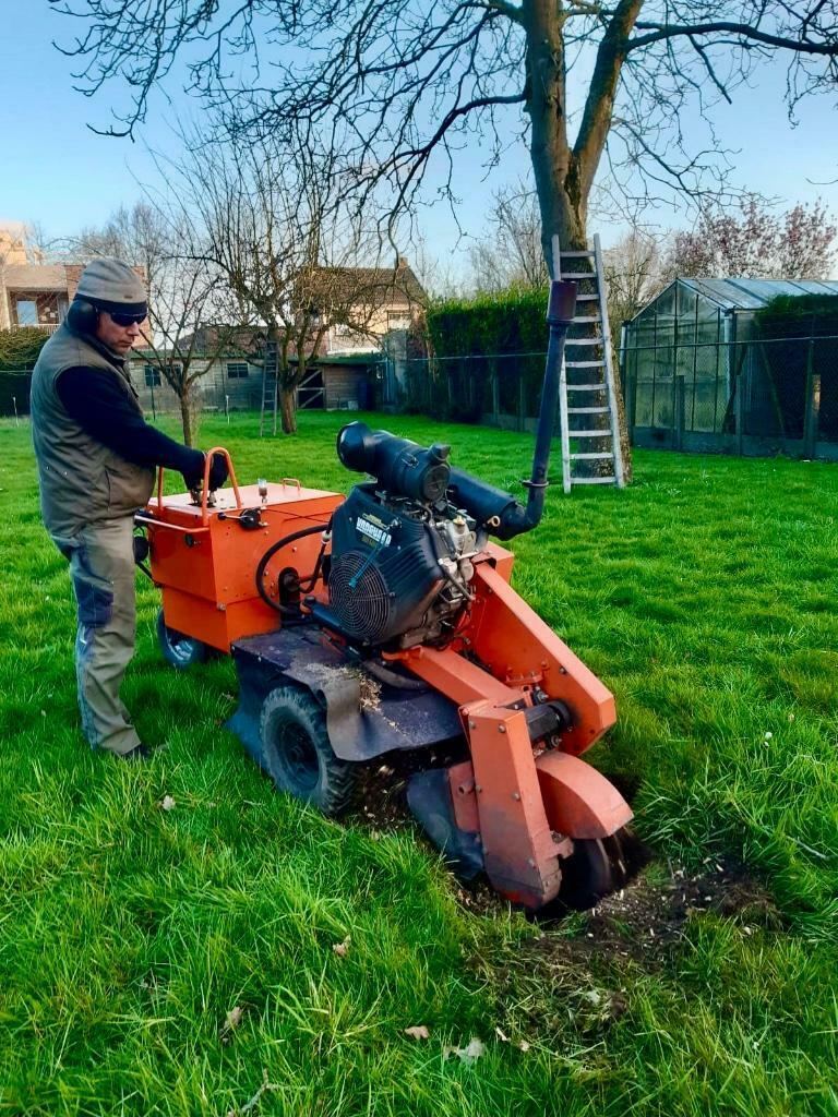 boomstronk verwijderen regio Eindhoven / Tilburg / Den Bosch, Garantie, Tuinontwerp