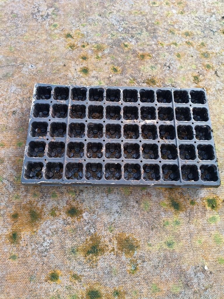 Stek trays, Tuin en Terras, Bloempotten, Kunststof, Gebruikt, Minder dan 40 cm, Balkon